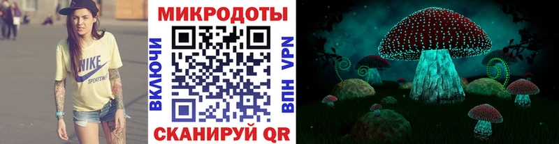 Купить закладки  Сертолово  Псилоцибиновые грибы мицелий 